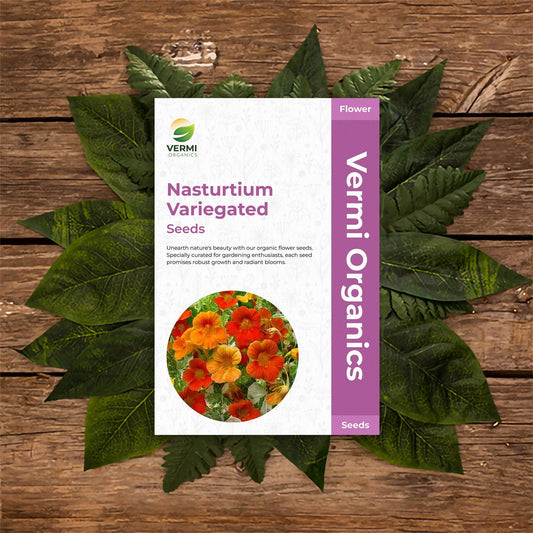 Nasturtium Variegated - Flower Seeds pack of 50