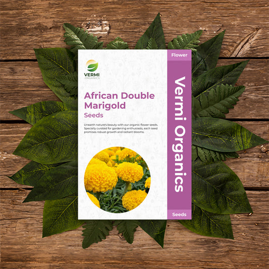 African Double Marigold Genda Pack of 100 Seeds
