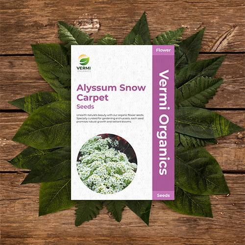 Alyssum Snow Carpet Lobularia Maritima White - Flower Seeds Pack of 100