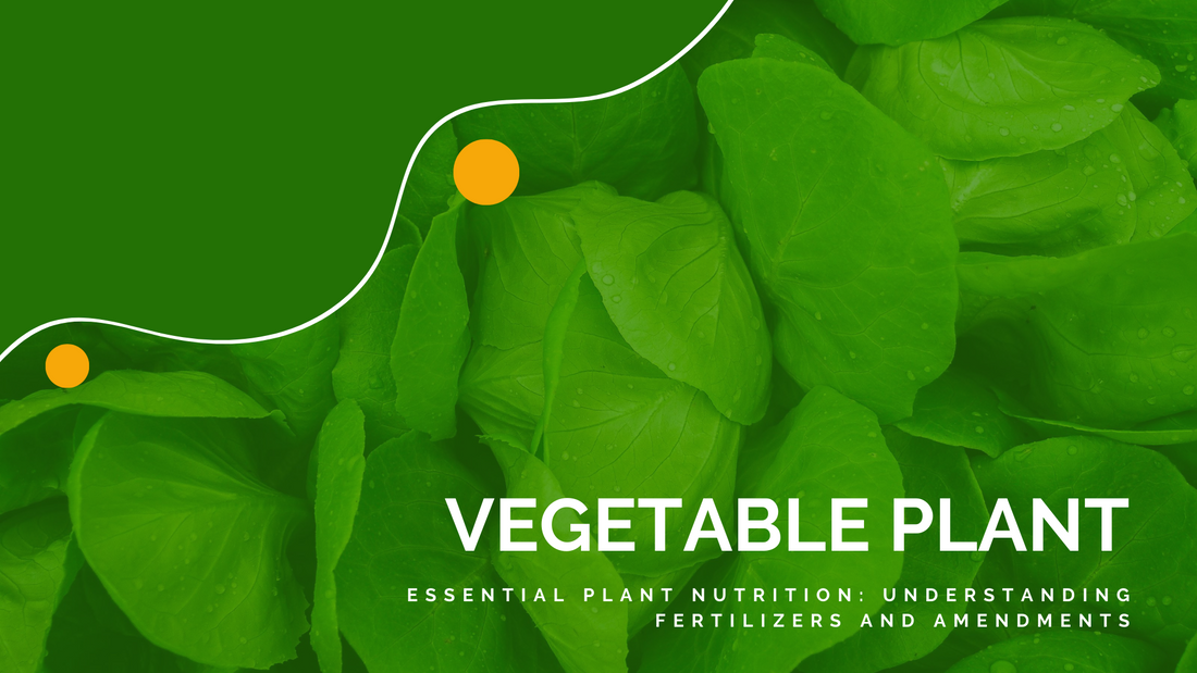 Essential plant nutrition: understanding fertilizers and amendments