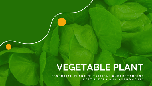 Essential plant nutrition: understanding fertilizers and amendments