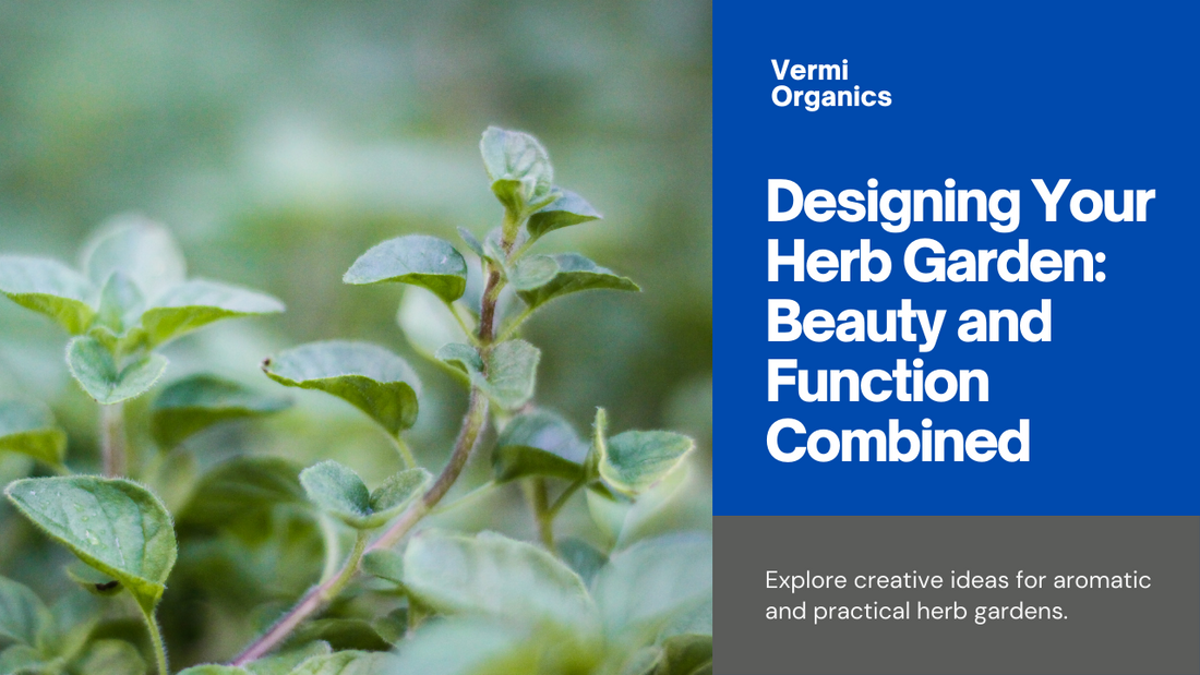Aromatic Oasis: Design Ideas for Stunning and Functional Herb Gardens