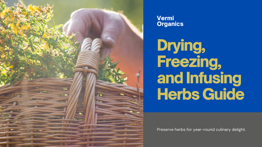 Herbarium Harvest: Drying, Freezing, and Infusing Herbs for Year-Round Flavor