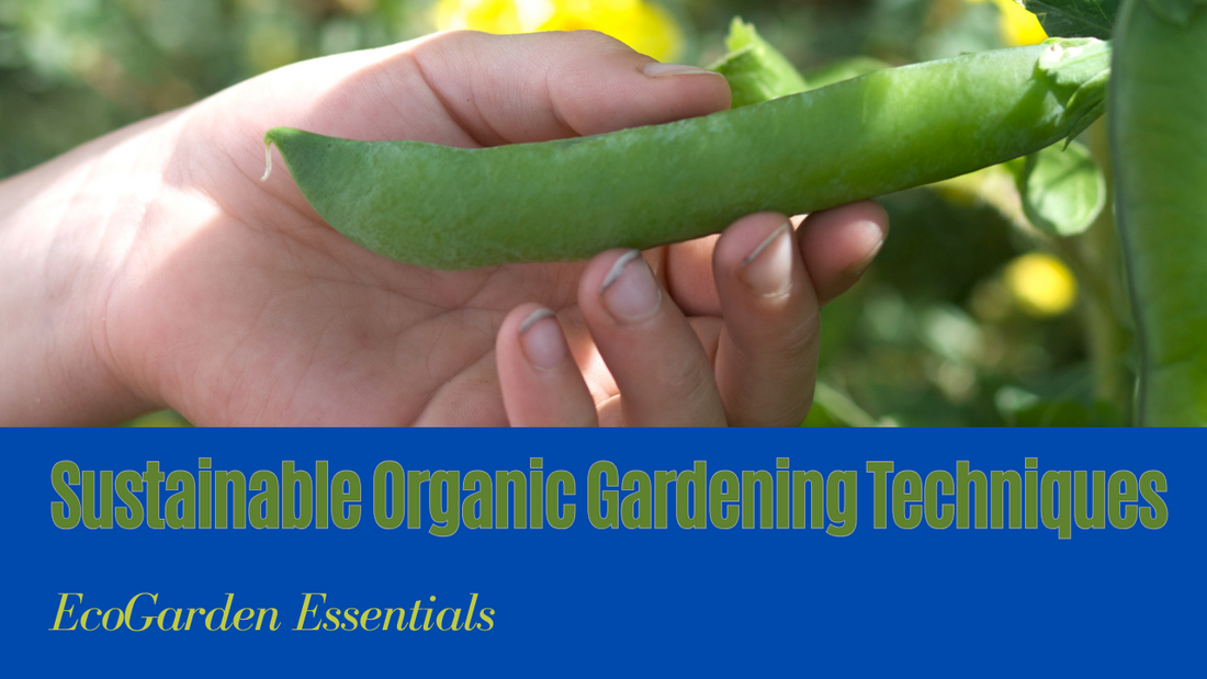 Organic gardening methods for a healthy and sustainable approach