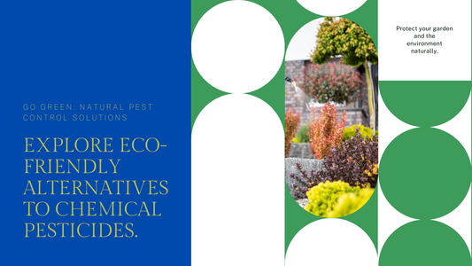 Using natural alternatives to harsh chemical pesticides