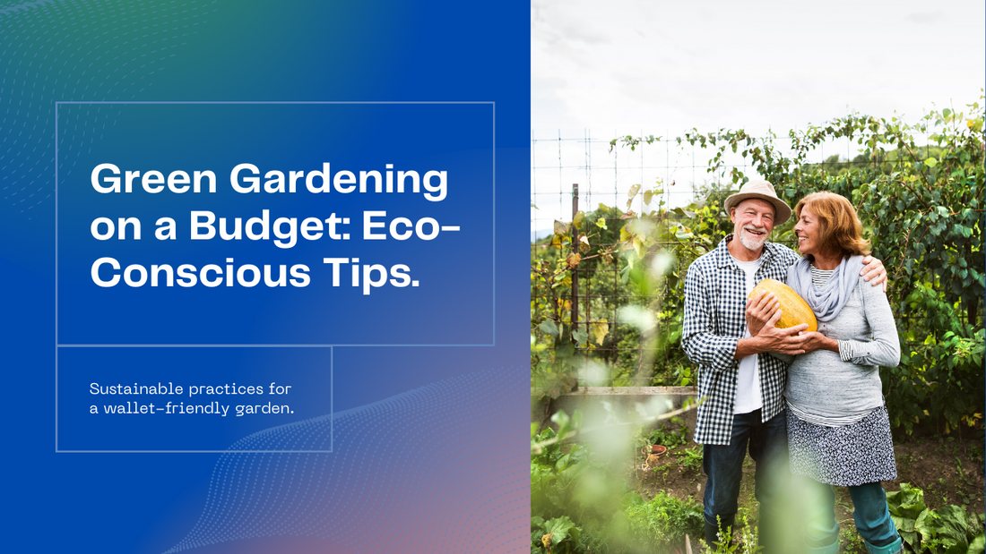 Eco-Conscious on a Budget: Tips for Green Gardening Without Breaking the Bank