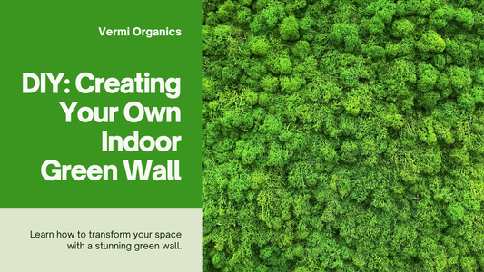 How to Create a Green Wall in Your Home