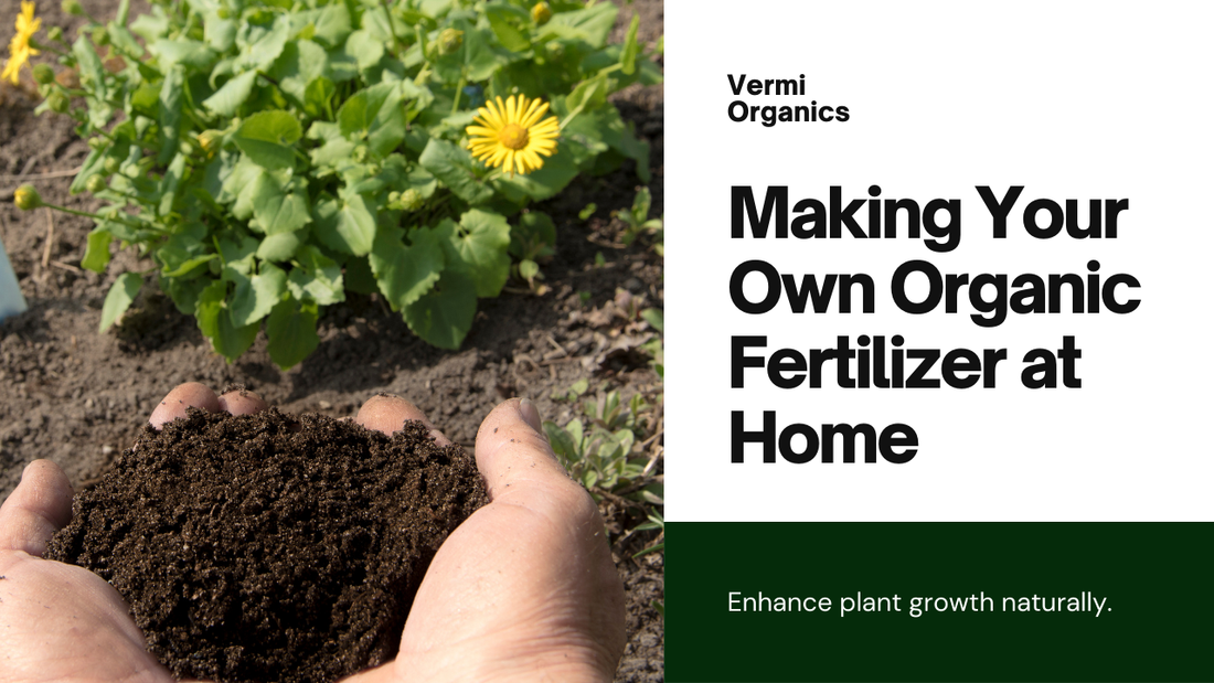 Making Your Own Organic Fertilizer