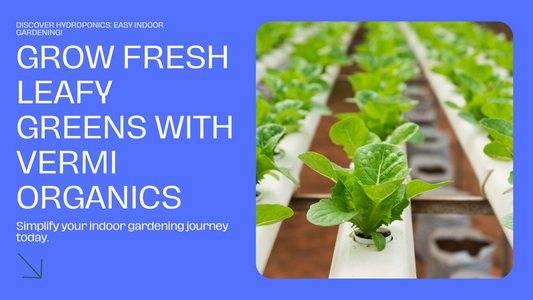 Hydroponics Made Easy: Grow Leafy Greens Indoors with Vermi Organics