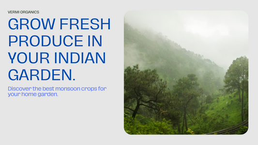 Monsoon Plants, Fruits and Vegetables to Grow in india