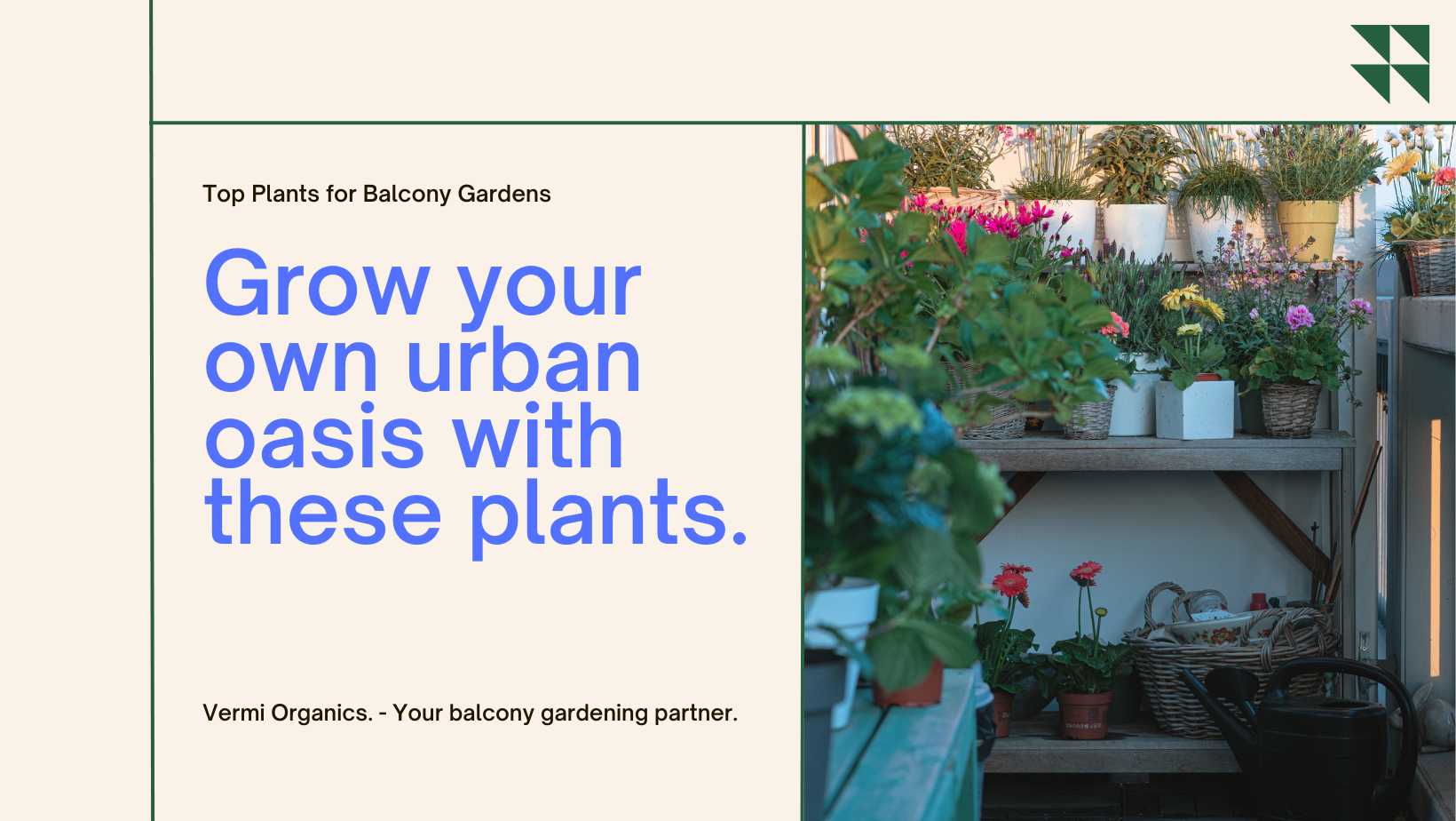 Best Plants For A Balcony Garden - Vermi Organics