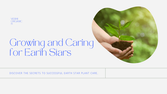 How to Grow and Care for Earth Stars