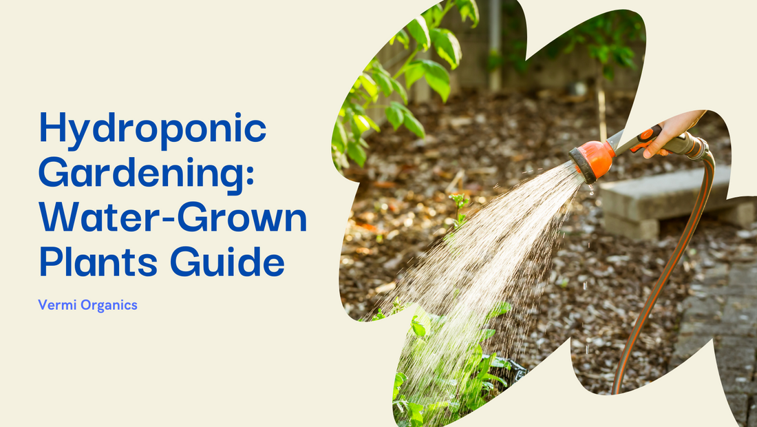 Exploring the Beauty of Hydroponic Gardening: Plants to Grow in Water