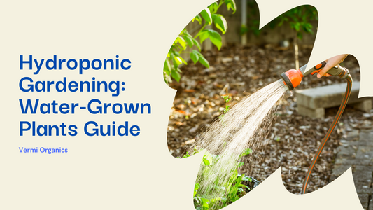 Exploring the Beauty of Hydroponic Gardening: Plants to Grow in Water