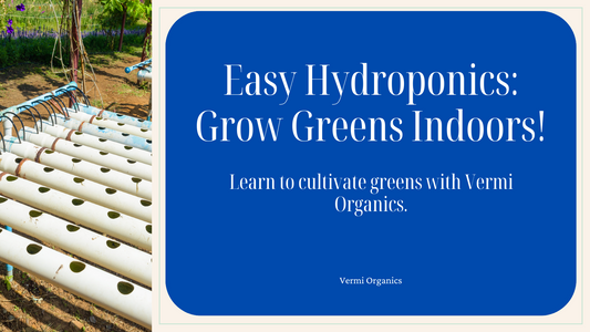 Hydroponics Made Easy: Grow Leafy Greens Indoors with Vermi Organics