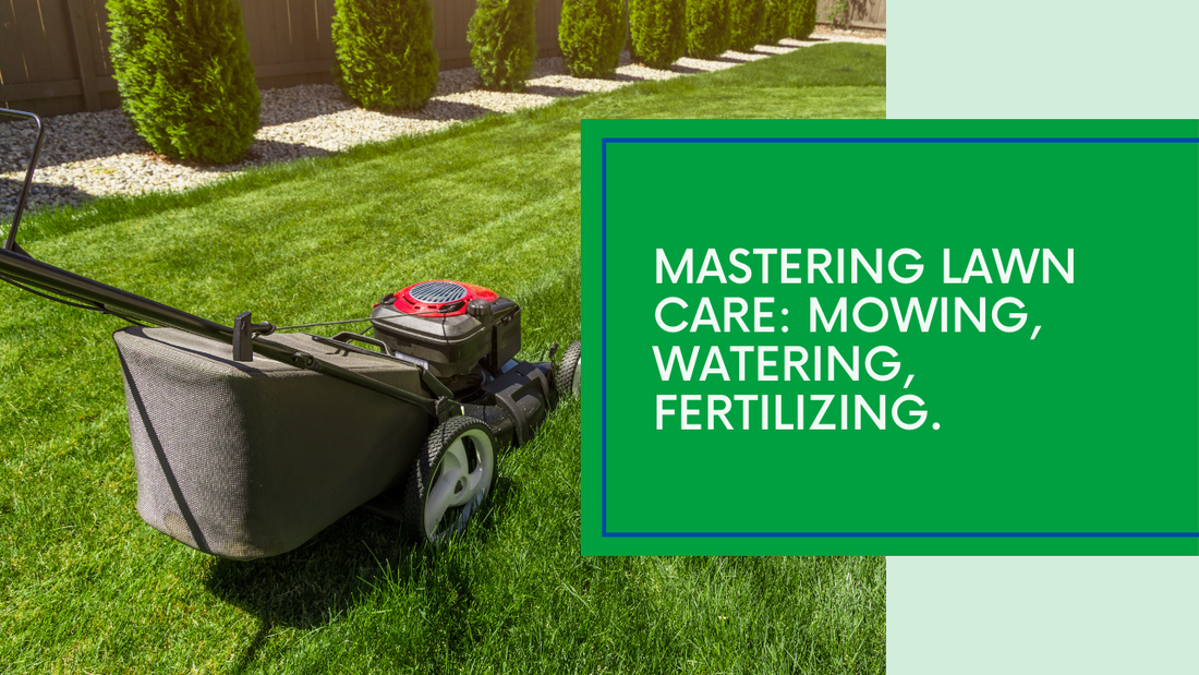 Lawn care basics: mowing, watering, fertilizing