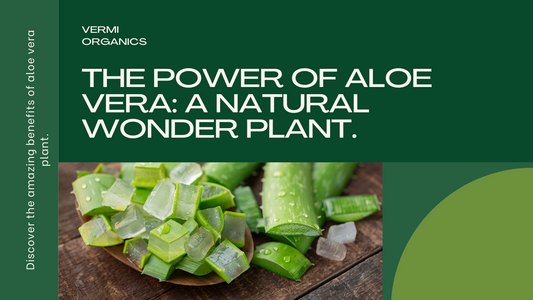 The Healing Properties of Aloe Vera