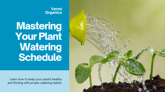 How to Create a Watering Schedule