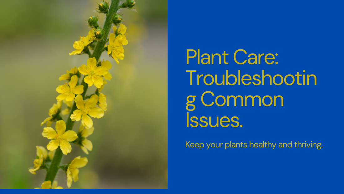 Troubleshooting common plant problems (e.g., yellowing leaves, leggy growth)
