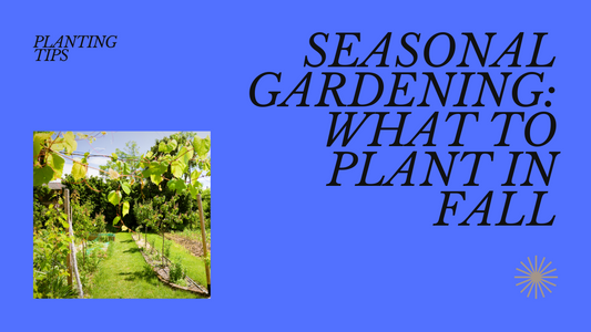 Seasonal Gardening: What to Plant in Fall