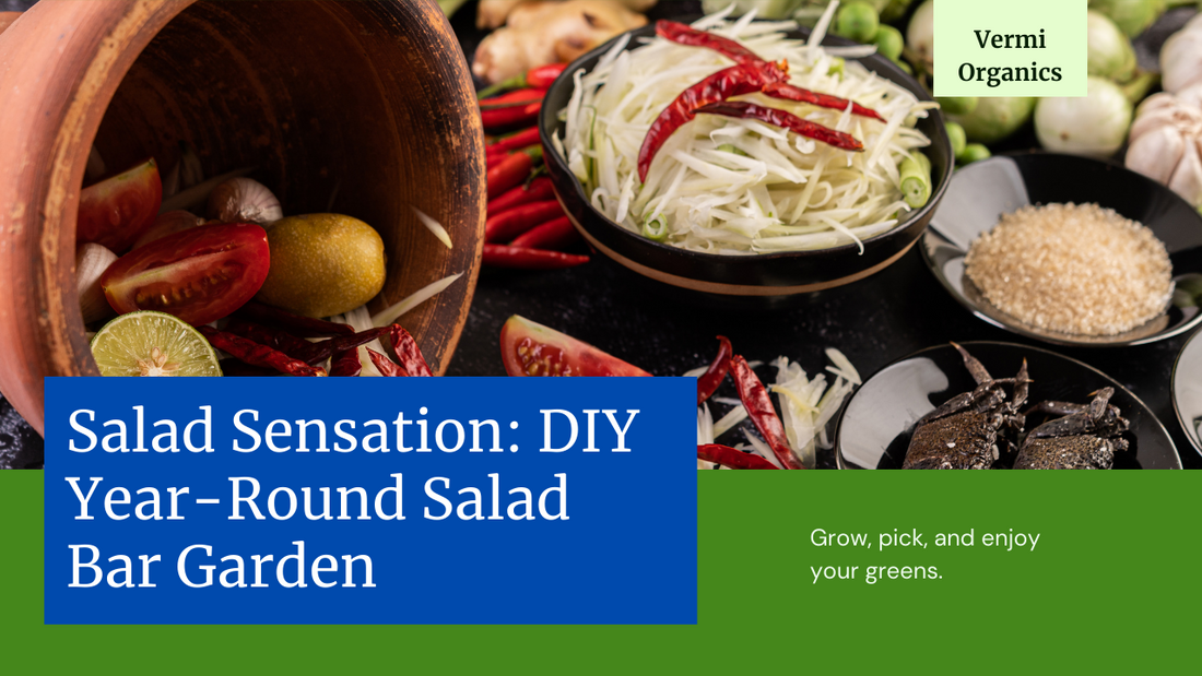 Salad Sensation: Create Your Own Year-Round Salad Bar Garden