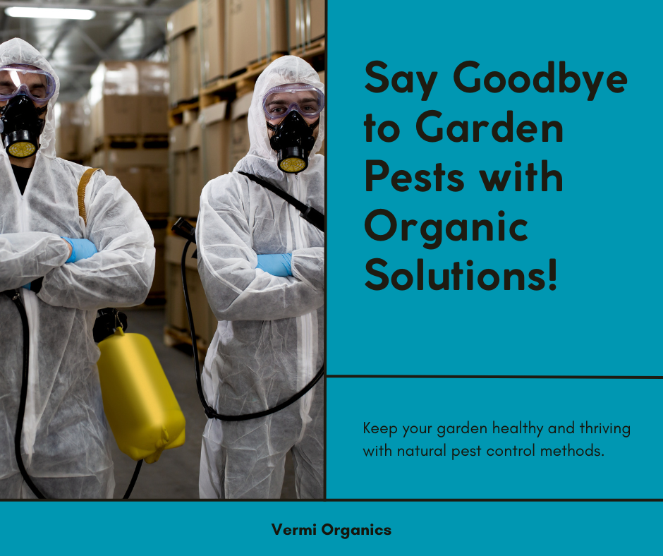 Organic Pest Control Solutions for Your Garden