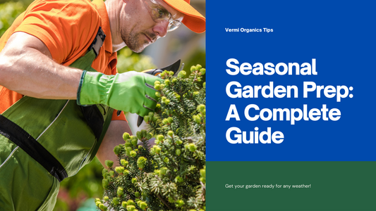 Preparing your garden for different seasons