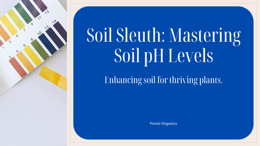 Soil Sleuth: Understanding Soil pH and How to Amend It for Optimal Growth