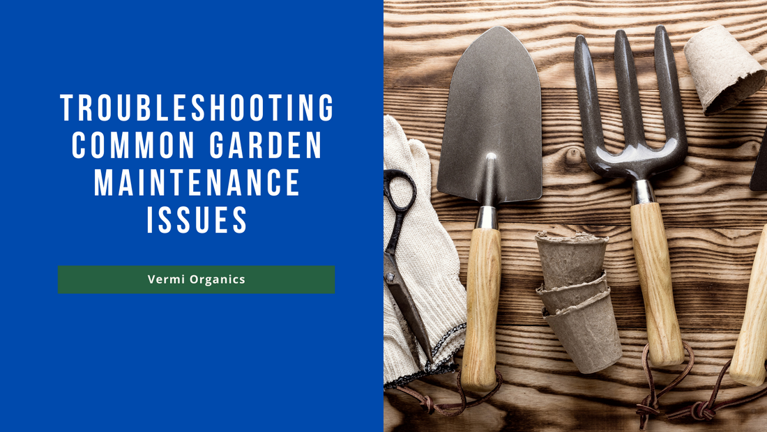 Troubleshooting common garden maintenance issues