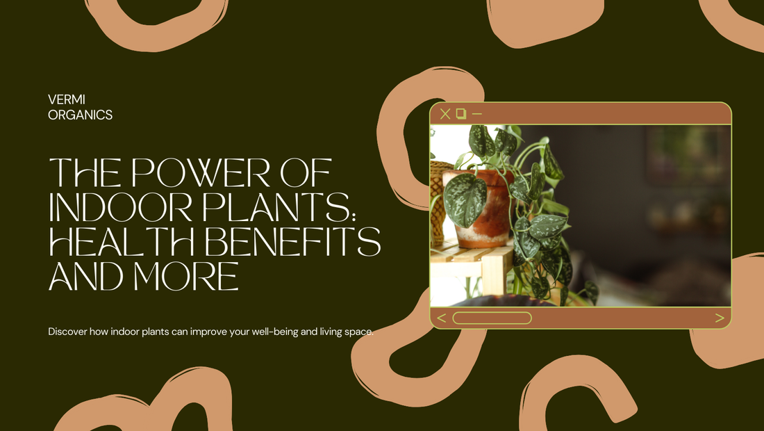 Health Benefits of Having Indoor Plants