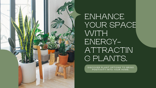 Best Plants for Attracting Positive Energy