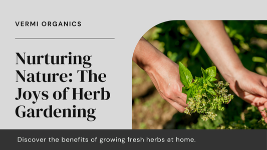 Benefits of Growing Your Own Herbs