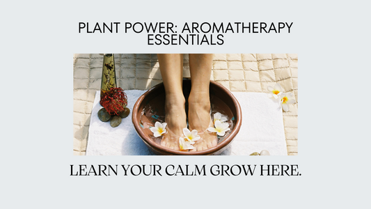 How to Use Plants for Aromatherapy