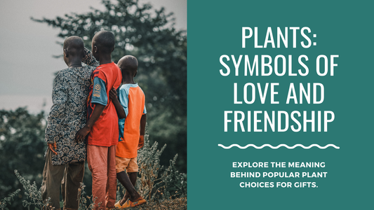 Plants that Symbolize Love and Friendship