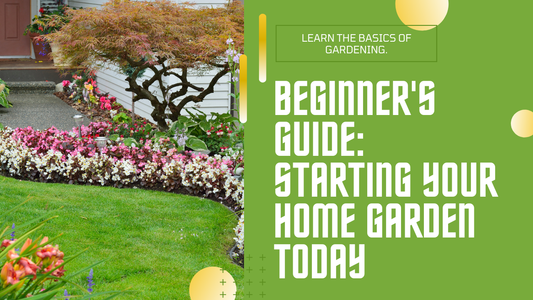 How to Start a Home Garden