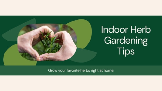 Tips for Growing a Herb Garden Indoors