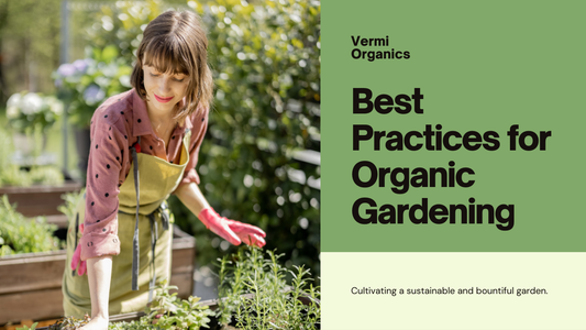 Best Practices for Organic Gardening