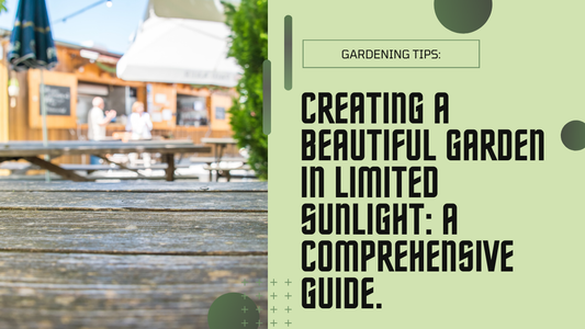 Creating a Garden with Limited Sunlight