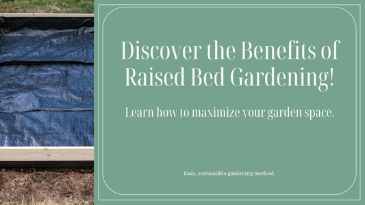 The Benefits of Raised Bed Gardening