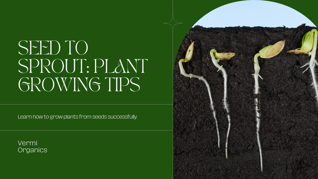 Tips for Growing Plants from Seeds - Vermi Organics