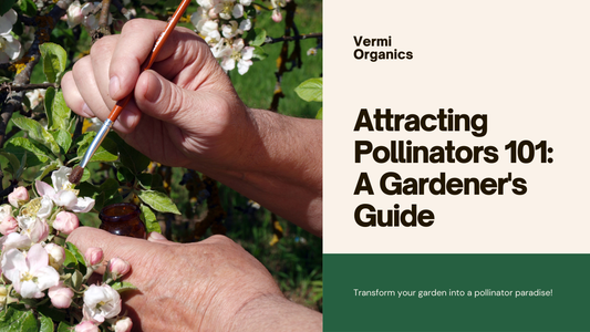 How to Attract Pollinators to Your Garden