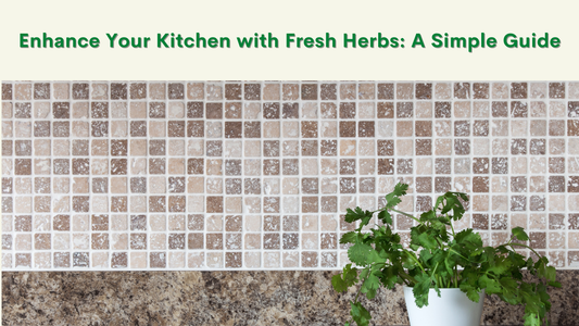 How to Decorate Your Kitchen with Herbs