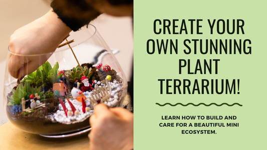 How to Make a Plant Terrarium