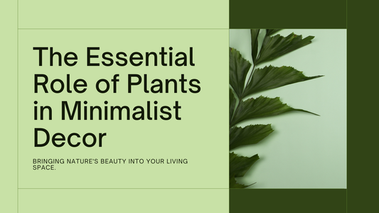 The Role of Plants in Minimalist Decor