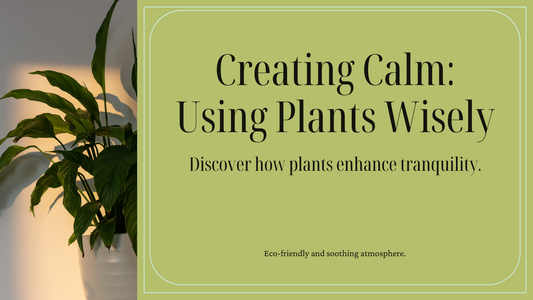 Using Plants to Create a Calming Environment