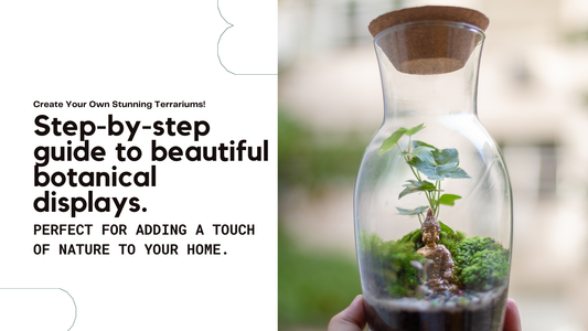 DIY Plant Terrariums