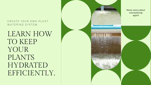 DIY Plant Watering System