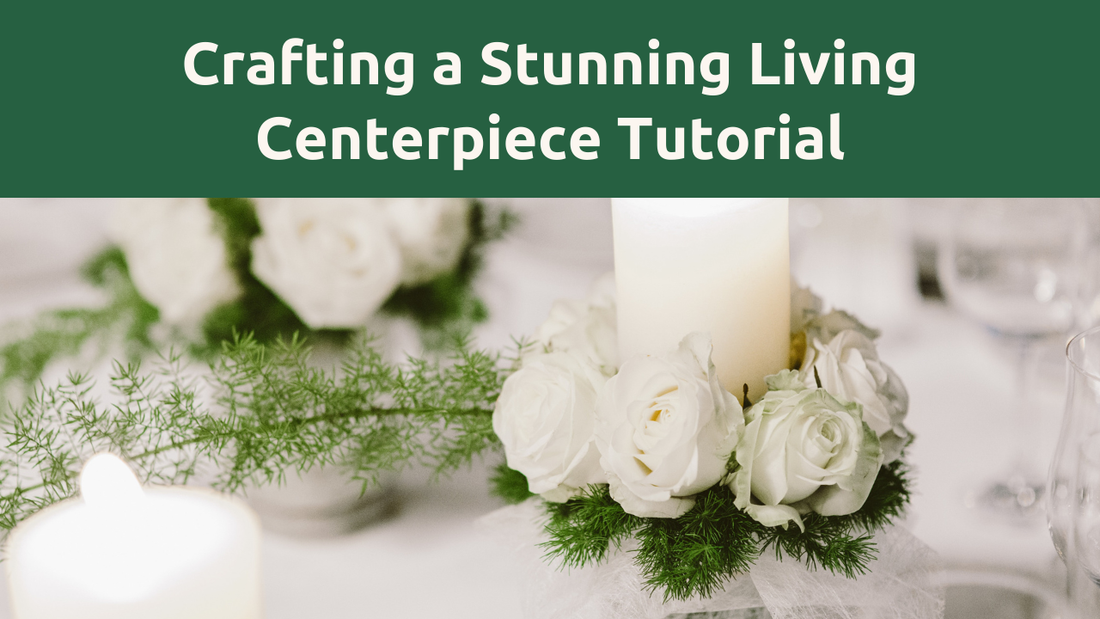 How to Create a Living Centerpiece