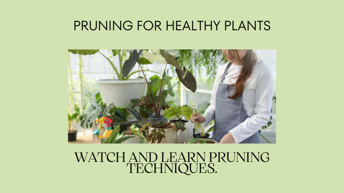 The Benefits of Regular Pruning