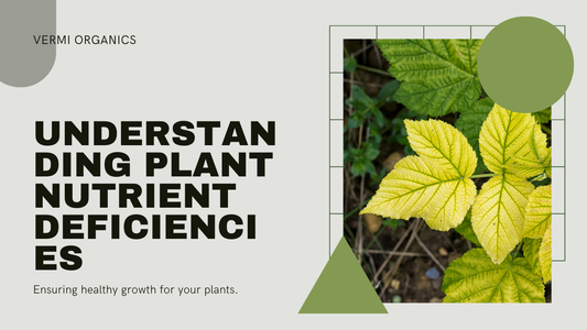 Identifying Nutrient Deficiencies in Plants